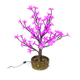 JUNO - 2' Bonsai (Purple)