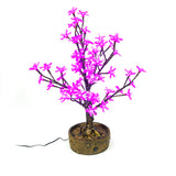 JUNO - 2' Bonsai (Purple)