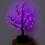 JUNO - 2' Bonsai (Purple)