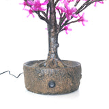 JUNO - 2' Bonsai (Purple)