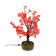 Cherry JUNO - 2' Bonsai (Red)