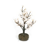 JUNO - 2' Bonsai (Warm White)