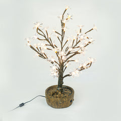 JUNO - 2' Bonsai (Warm White)