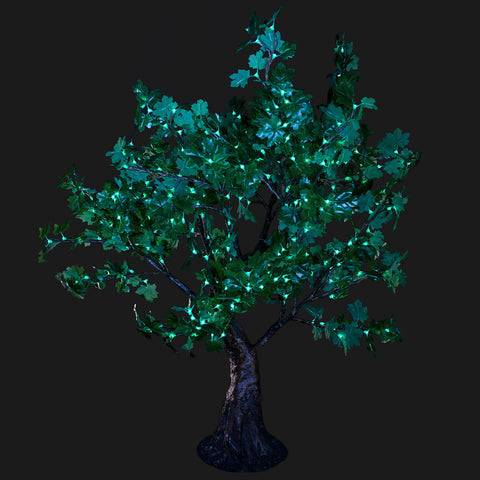 Maple Tree