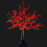 SMITH - 5'4 Cherry (Red)