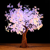 TAYLOR - 4'8 Ginkgo Color Shift (continuous rotation)