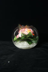 Pink Rose LED Flowers in Round Glass Vase - R-19V