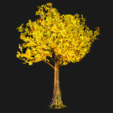 SMITH - 5'4 Maple (Sienne)
