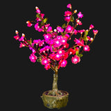 JUNO - 2' Bonsai (Pink)-Battery