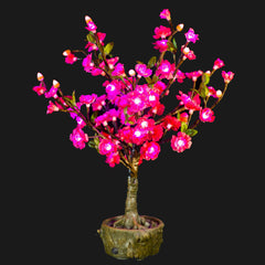 JUNO - 2' Bonsai (Pink)-Battery