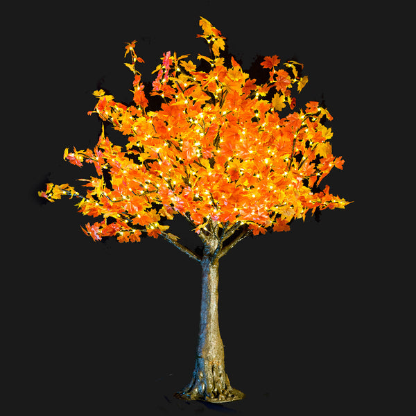 SMITH - 5'4 Maple (Amber)