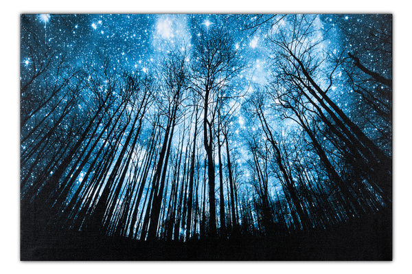 Star Gazing Painting TA16-PD0026967
