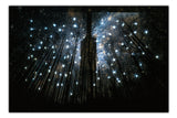 Star Gazing Painting TA16-PD0026967