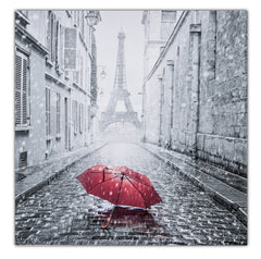 Streets of Paris Painting TA15-PAL07096